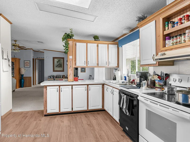 9183 Salisbury Dr, Brooksville, FL 34613 - Image 3